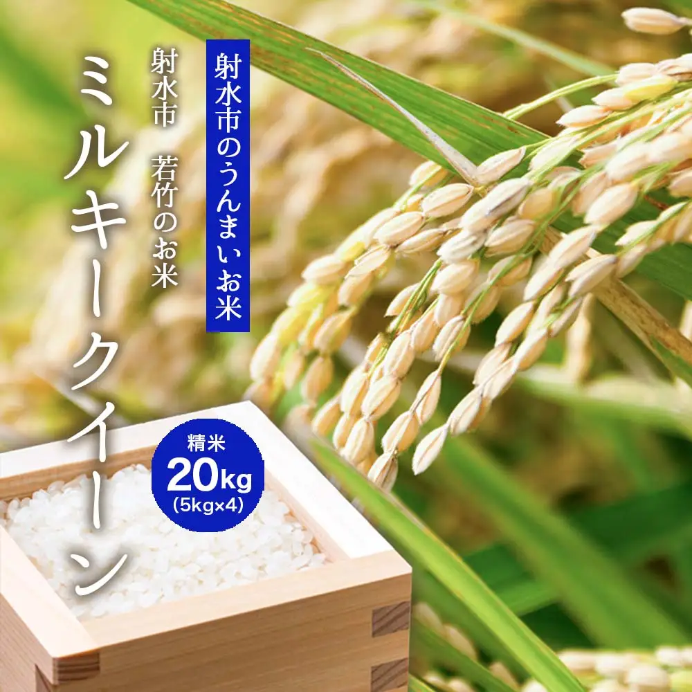 【射水市】【射水の美味しいお米】若竹のお米 R8年産 ミルキークイーン 20kg 【精米】
