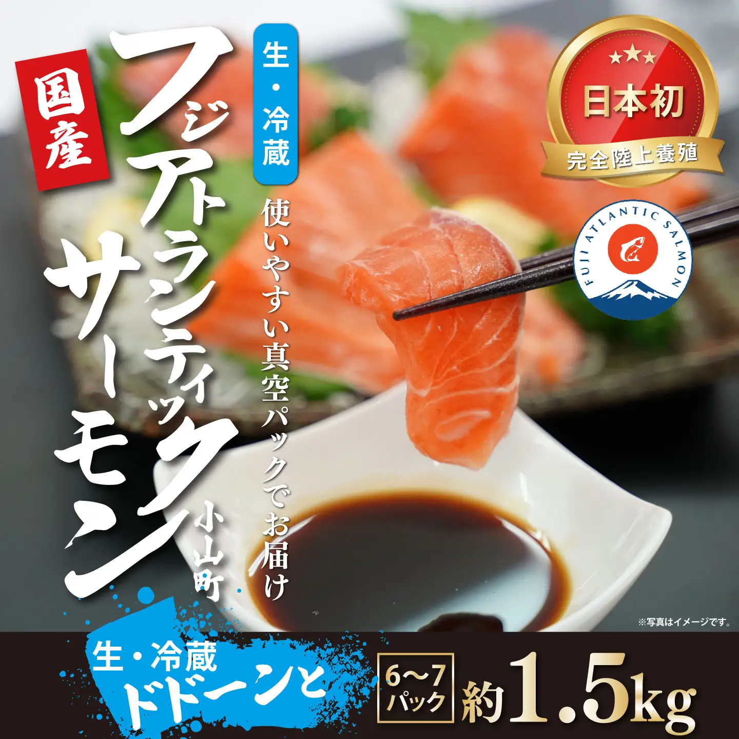 サーモン 約1.5kg 小分け 6～7P 国産サーモン