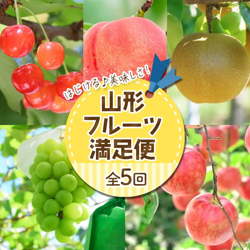 【定期便5回】はじける♪美味しさ！山形フルーツ満足便 FSY-2967