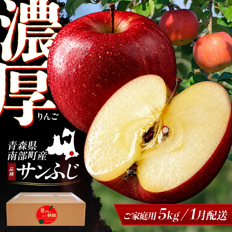 【1月発送】【訳あり】 濃厚りんご サンふじ 約5kg 【アグリーデザイン】 F21U-729