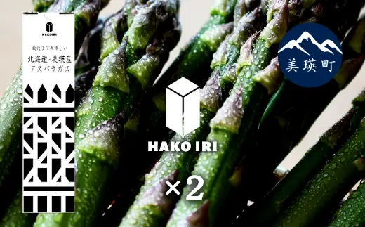 【令和9年産 先行予約】幻のアスパラ 400g × 2箱 ラスノーブル 墫乃字