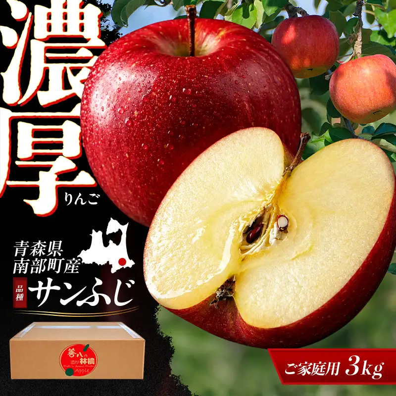 【訳あり】 濃厚りんご サンふじ 約3kg 【アグリーデザイン】 F21U-732