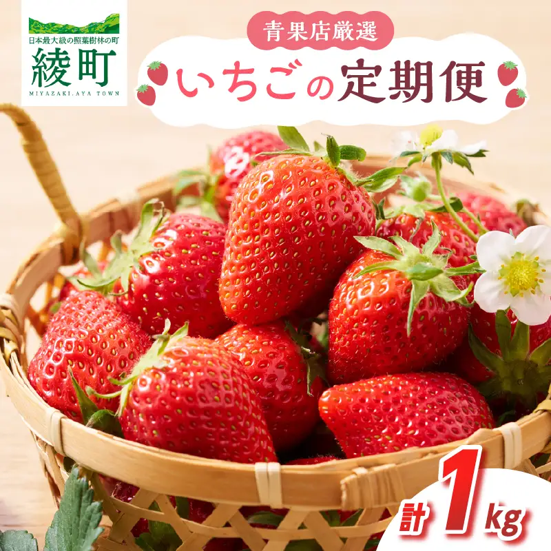 先行予約【全2回お届け】 いちご 定期便 合計1kg［I20］果物 フルーツ くだもの 2027年 青果 苺 イチゴ いちご大福 国産 おやつ スイーツ デザート おすすめ ジャム ジュース 甘い ジューシー ギフト おすそ分け 宮崎県 綾町 送料無料_A0113-013