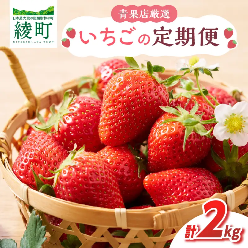 先行予約【全2回お届け】 いちご 定期便 合計2kg［I21］果物 フルーツ くだもの 2027年 青果 苺 イチゴ いちご大福 国産 おやつ スイーツ デザート おすすめ ジャム ジュース 甘い ジューシー ギフト おすそ分け 宮崎県 綾町 送料無料_A0113-014