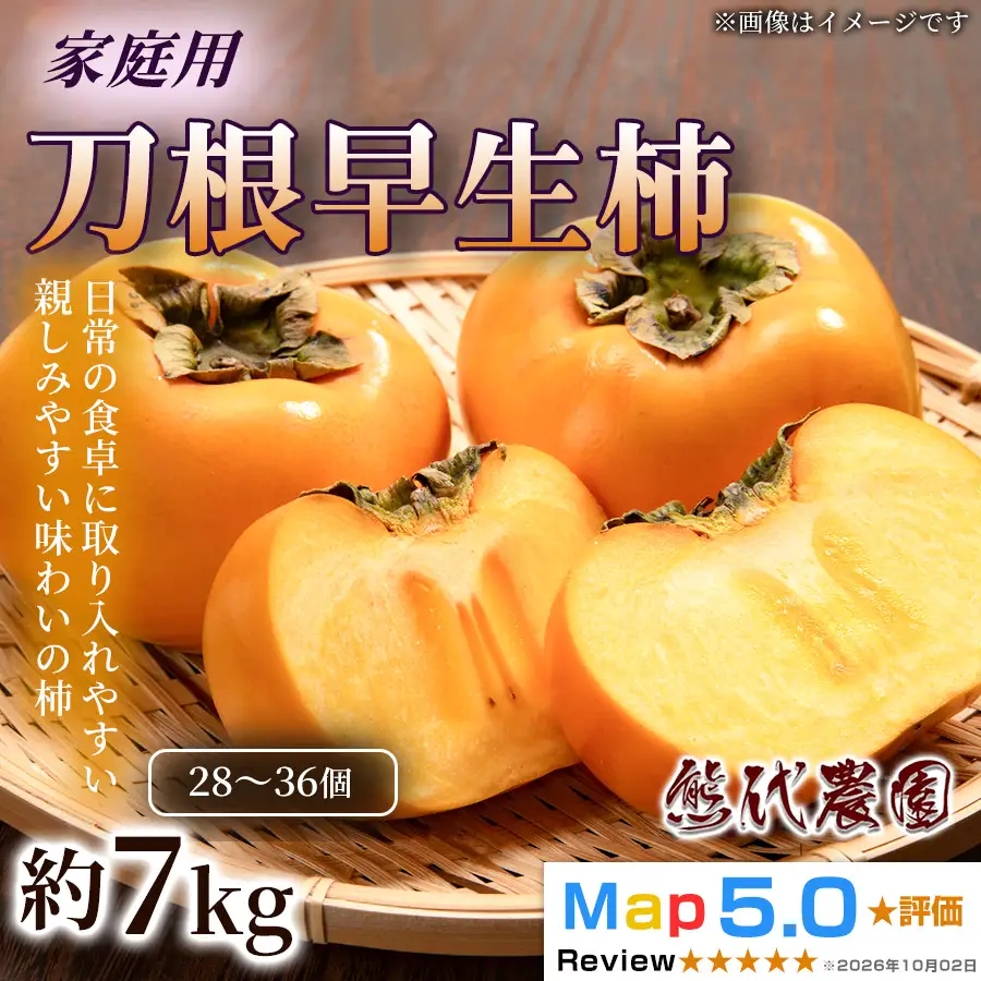 刀根早生柿（約7kg・28～36個・家庭用）×1箱