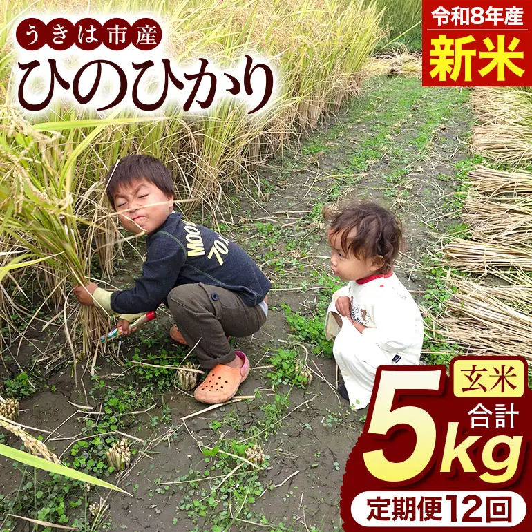 令和8年 新米 玄米 ひのひかり 5kg 12ヶ月定期便 ぶんぶんファーム