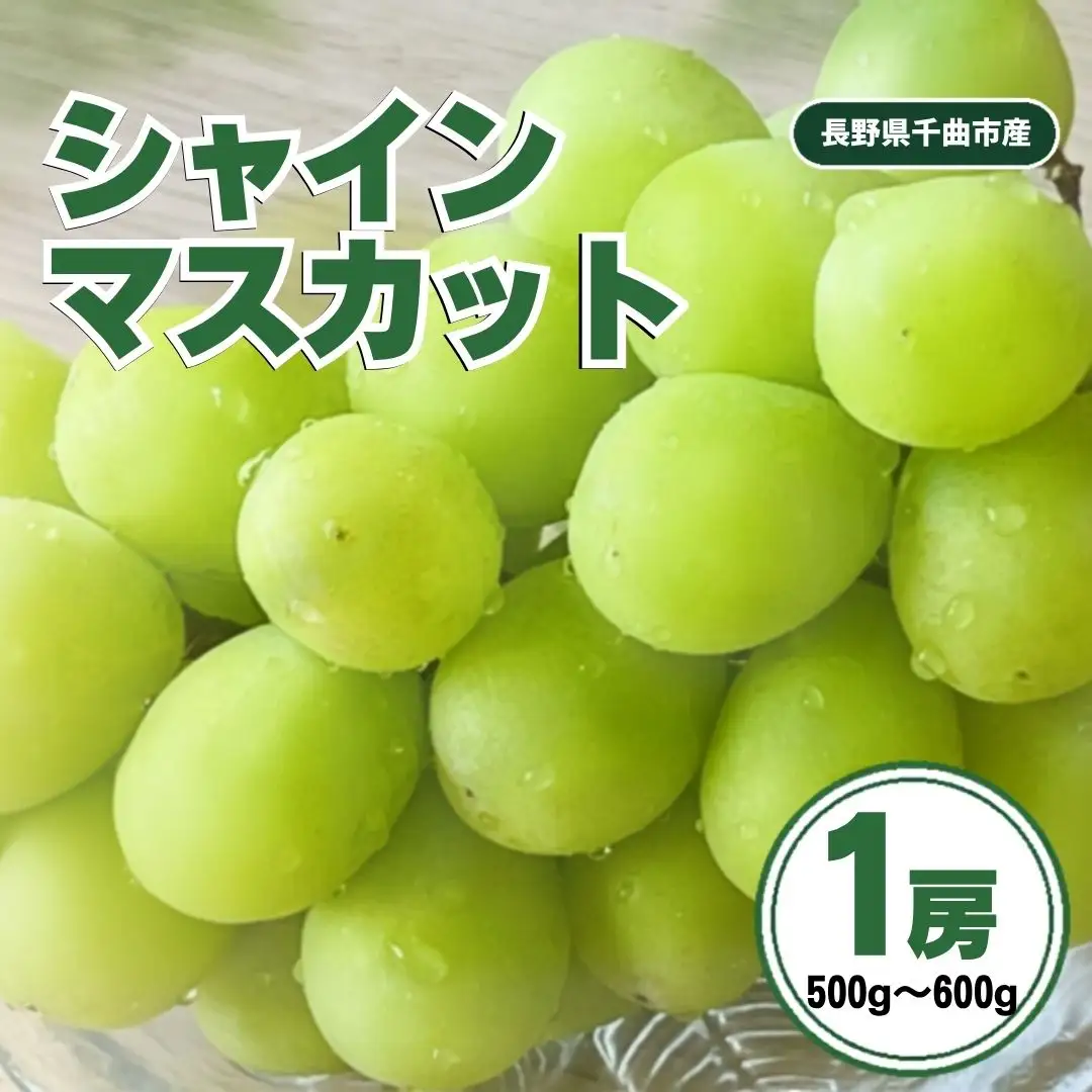 【2027年先行予約】シャインマスカット1房 (約500g~約600g)｜シャインマスカット