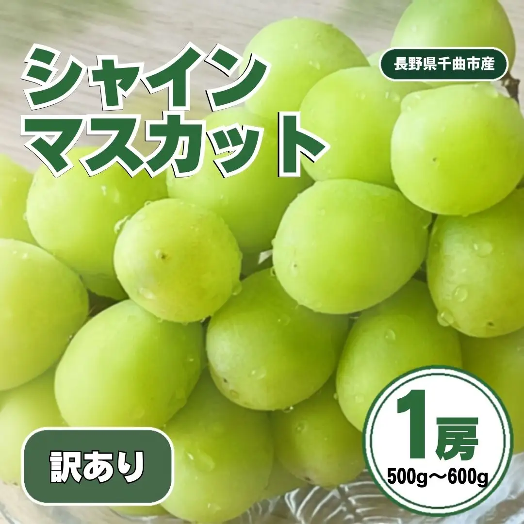 【2027年先行予約】訳ありシャインマスカット1房 (約500g~約600g)｜シャインマスカット