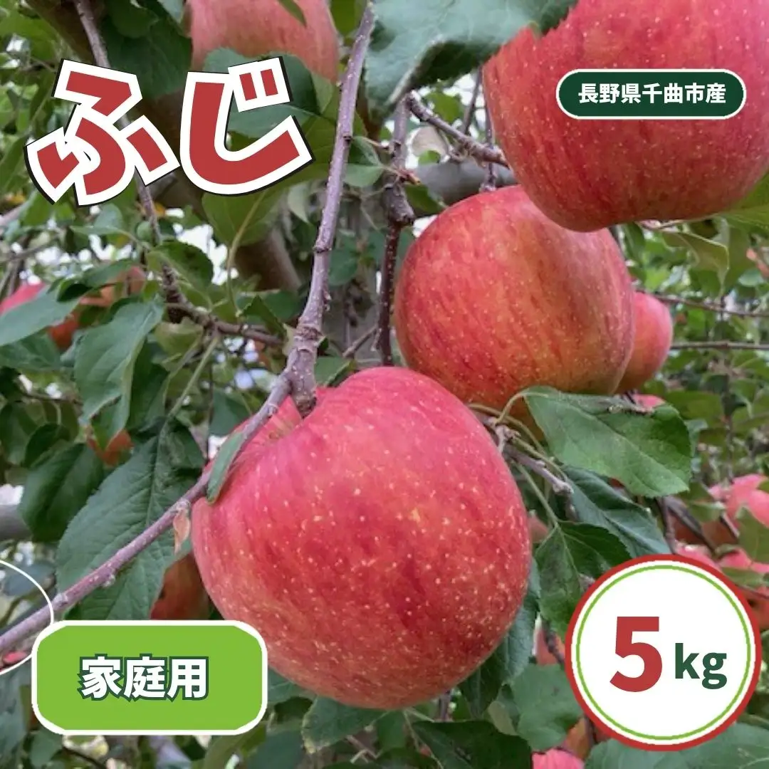 ふじ 家庭用 約5kg| りんご りんご