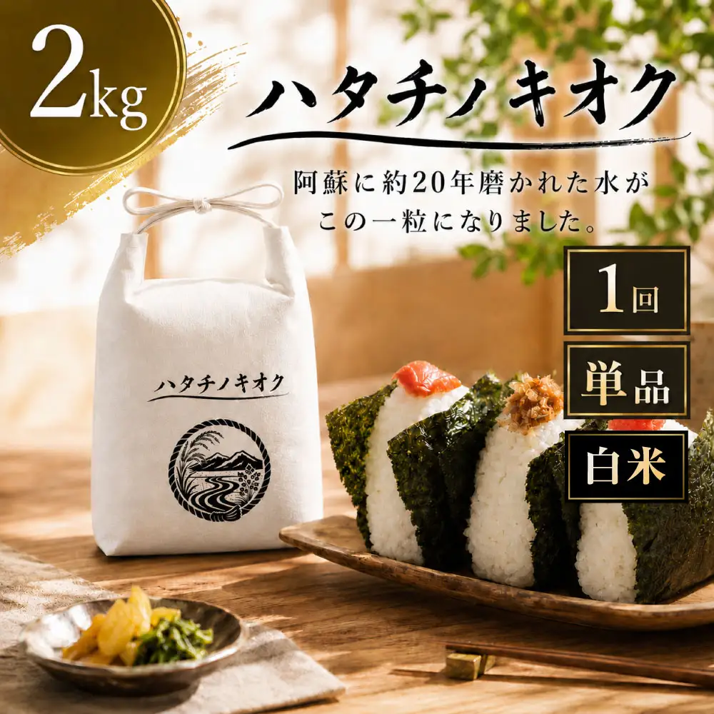 【 令和8年産 】 熊本市産 ヒノヒカリ 白米 2kg ( 約13合 ） ｜ ハタチノキオク 1回 お米 米 白飯 ご飯 おにぎり 和食 国産 熊本県産 ブランド米