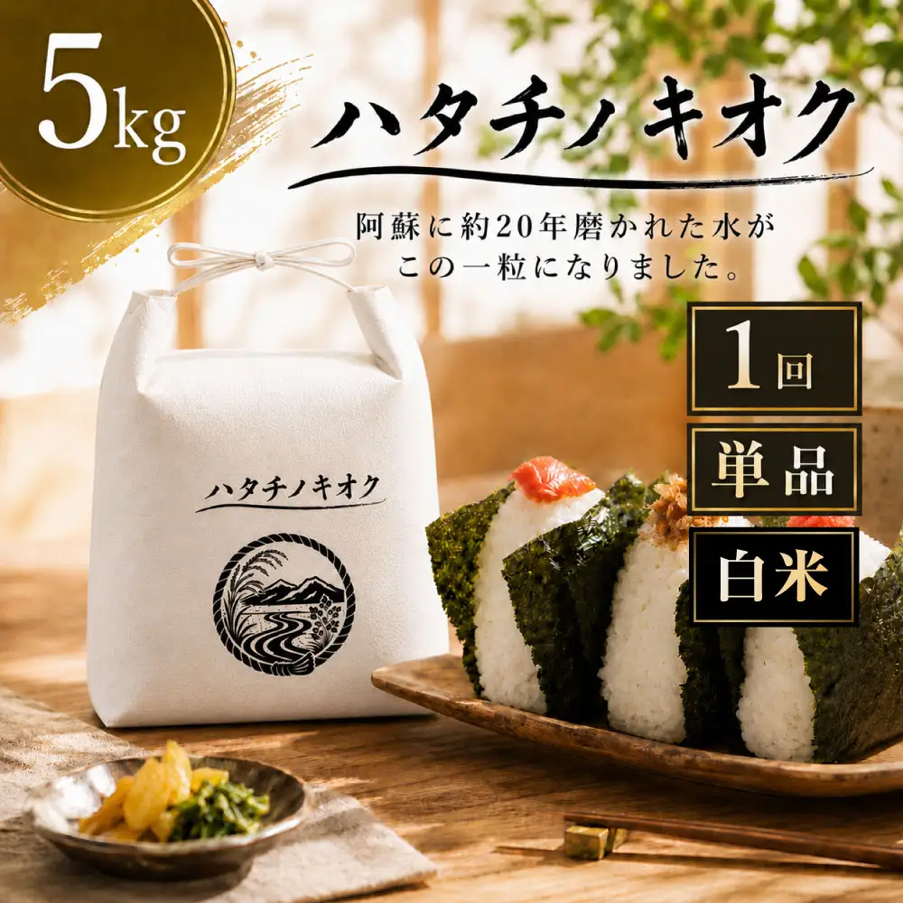 【 令和8年産 】 熊本市産ヒノヒカリ 白米 5kg ( 約33合 ） ｜ ハタチノキオク 1回 お米 米 白飯 ご飯 おにぎり 和食 国産 熊本県産 ブランド米