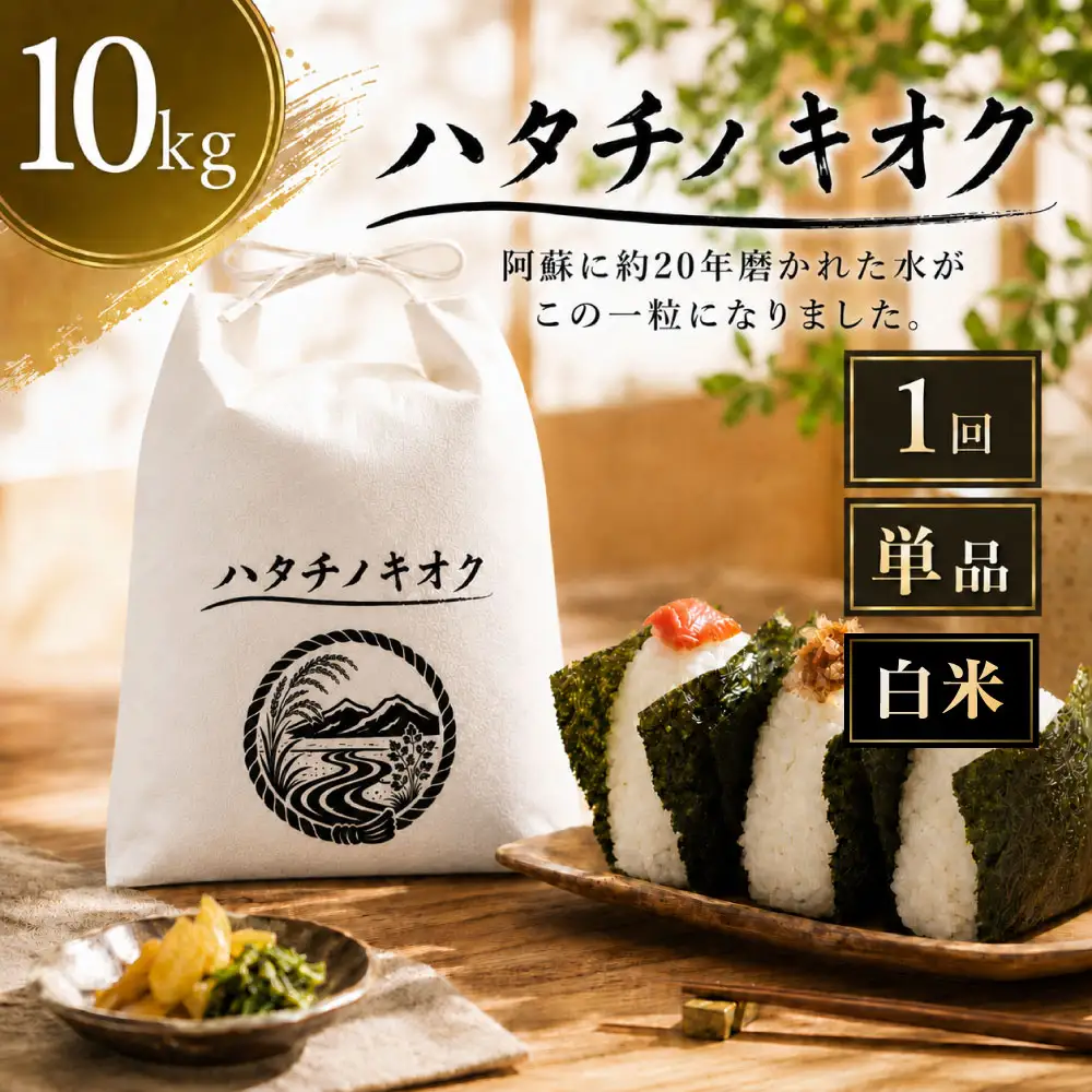 【 令和8年産 】 熊本市産 ヒノヒカリ 白米 10kg ( 約67合 ） ｜ ハタチノキオク 1回 お米 米 白飯 ご飯 おにぎり 和食 国産 熊本県産 ブランド米