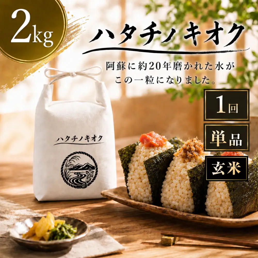【 令和8年産 】 熊本市産 ヒノヒカリ 玄米 2kg ( 約13合 ） ｜ ハタチノキオク 1回 お米 米 白飯 ご飯 おにぎり 和食 国産 熊本県産 ブランド米