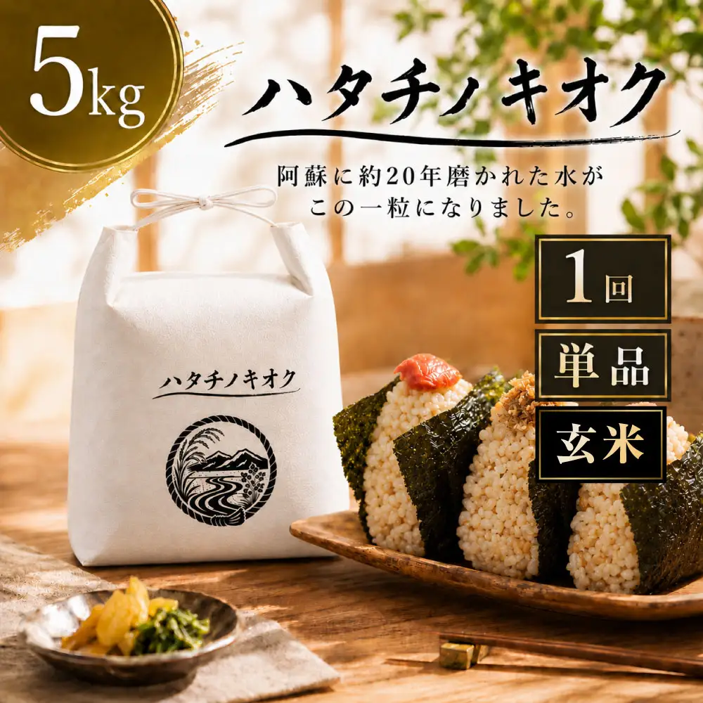【 令和8年産 】 熊本市産 ヒノヒカリ 玄米 5kg ( 約33合 ） ｜ ハタチノキオク 1回 お米 米 白飯 ご飯 おにぎり 和食 国産 熊本県産 ブランド米