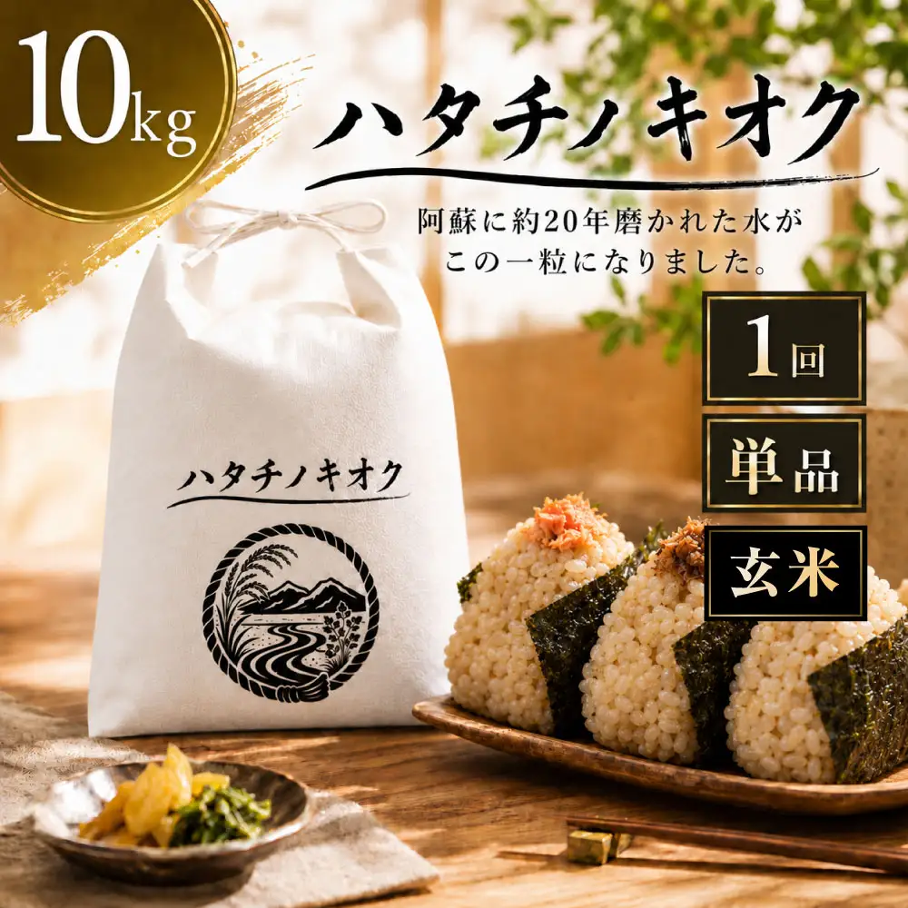 【 令和8年産 】 熊本市産 ヒノヒカリ 玄米 10kg ( 約67合 ） ｜ ハタチノキオク 1回 お米 米 白飯 ご飯 おにぎり 和食 国産 熊本県産 ブランド米