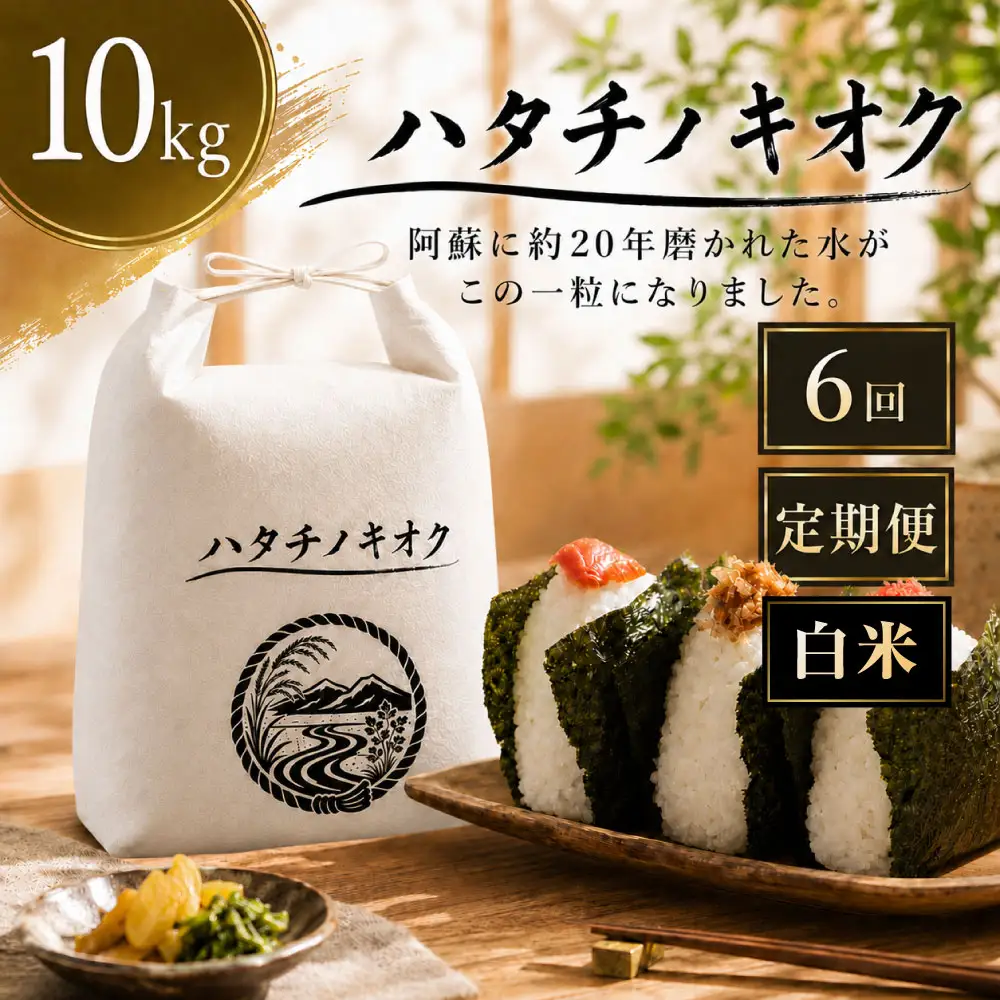 【 6回定期便 】 熊本市産 ヒノヒカリ 白米 10kg ( 約67合 ） ｜ ハタチノキオク 6回 お米 米 白飯 ご飯 おにぎり 和食 国産 熊本県産 ブランド米 定期 定期配送