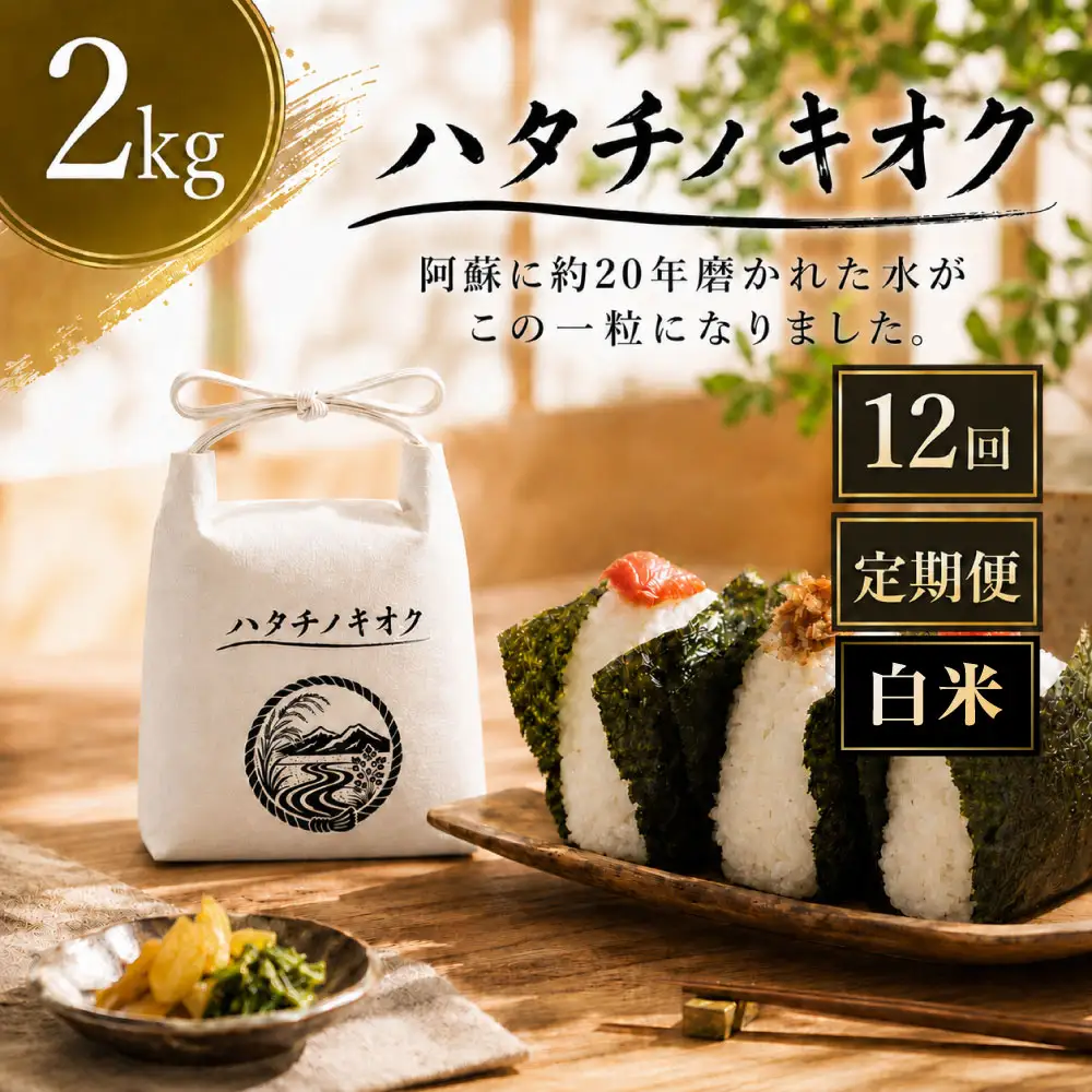 【 12回定期便 】 熊本市産 ヒノヒカリ 白米 2kg ( 約13合 ） ｜ ハタチノキオク 12回 お米 米 白飯 ご飯 おにぎり 和食 国産 熊本県産 ブランド米 定期 定期配送