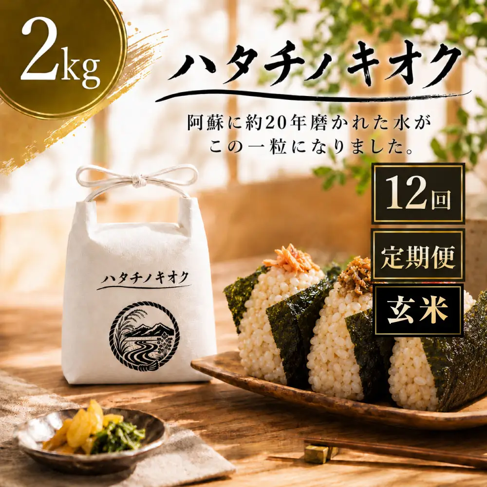 【 12回定期便 】 熊本市産 ヒノヒカリ 玄米 2kg ( 約13合 ） ｜ ハタチノキオク 12回 お米 米 白飯 ご飯 おにぎり 和食 国産 熊本県産 ブランド米 定期 定期配送