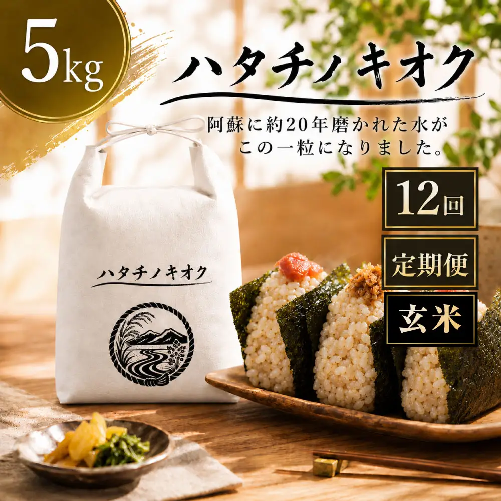 【 12回定期便 】 熊本市産 ヒノヒカリ 玄米 5kg ( 約33合 ） ｜ ハタチノキオク 12回 お米 米 白飯 ご飯 おにぎり 和食 国産 熊本県産 ブランド米 定期 定期配送