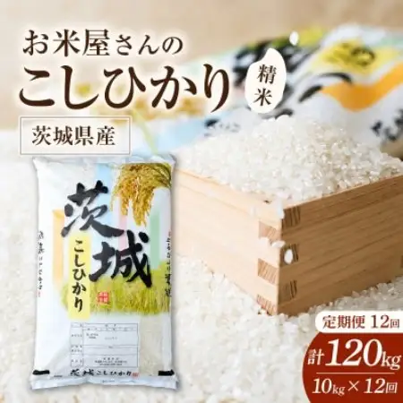 【毎月定期便】お米屋さんのコシヒカリ 精米 10kg(5kg×2) 全12回【4094332】
