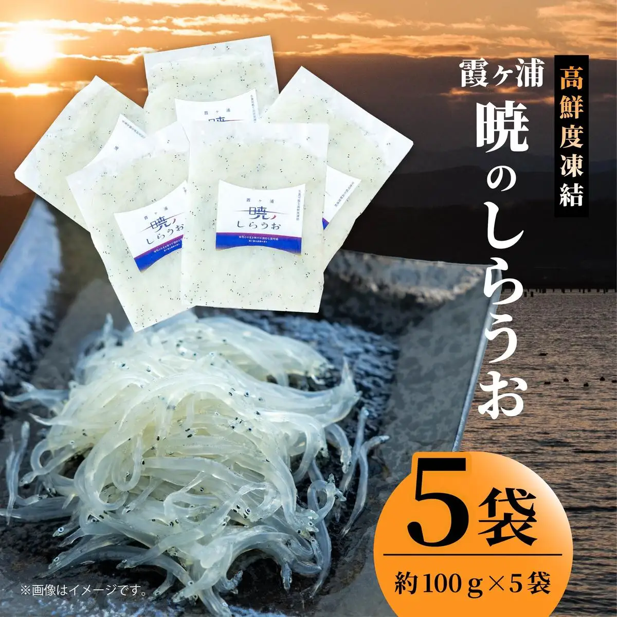 霞ヶ浦　暁のしらうお　約100g×5パック|茨城県 行方市 ふるさと納税 白魚 しらうお 海鮮（GT-6）