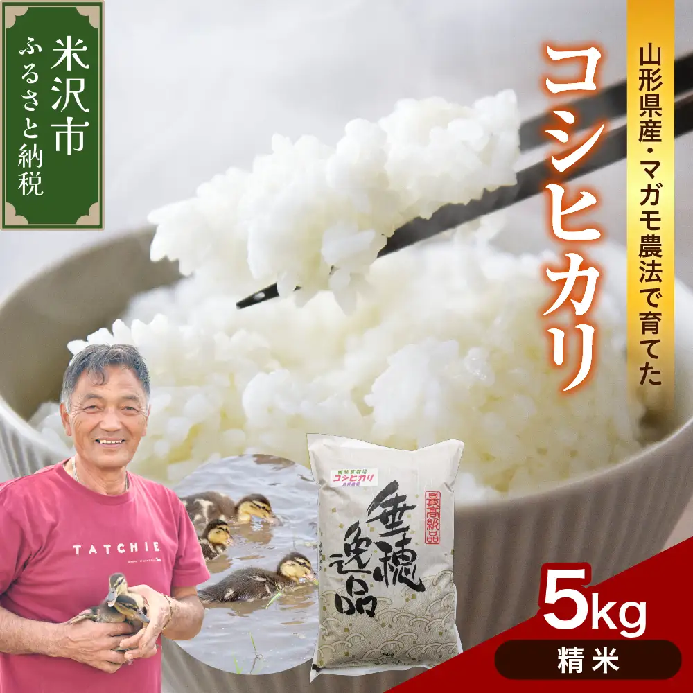 令和8年産 精米 コシヒカリ 5kg 2026年産 山形県 米沢市