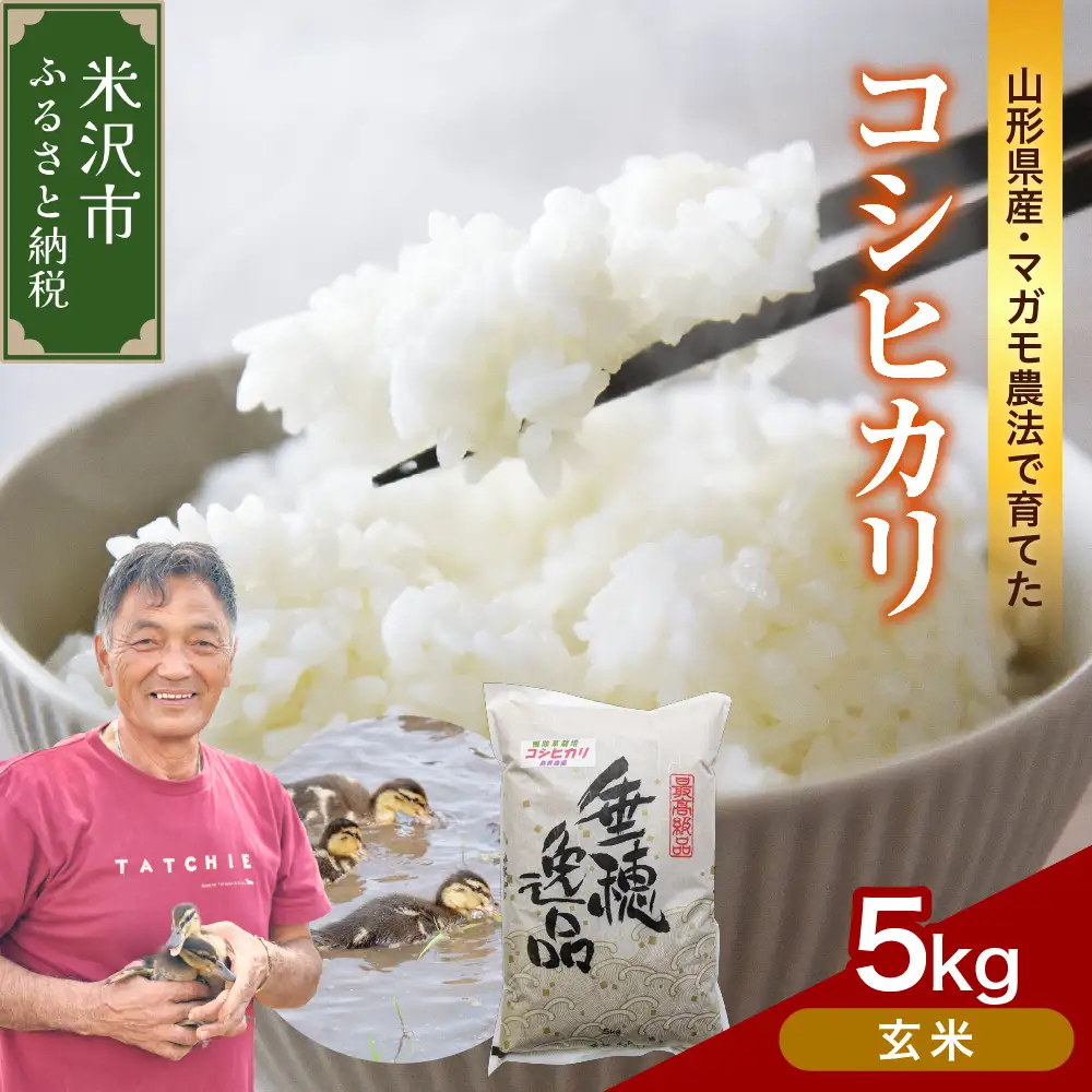 令和8年産 玄米 コシヒカリ 5kg 2026年産 山形県 米沢市