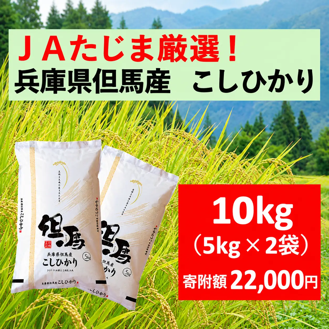 令和8年産 JAたじま厳選！ 兵庫県但馬産こしひかり 10kg（5kg×2袋）　AS50CA36-2