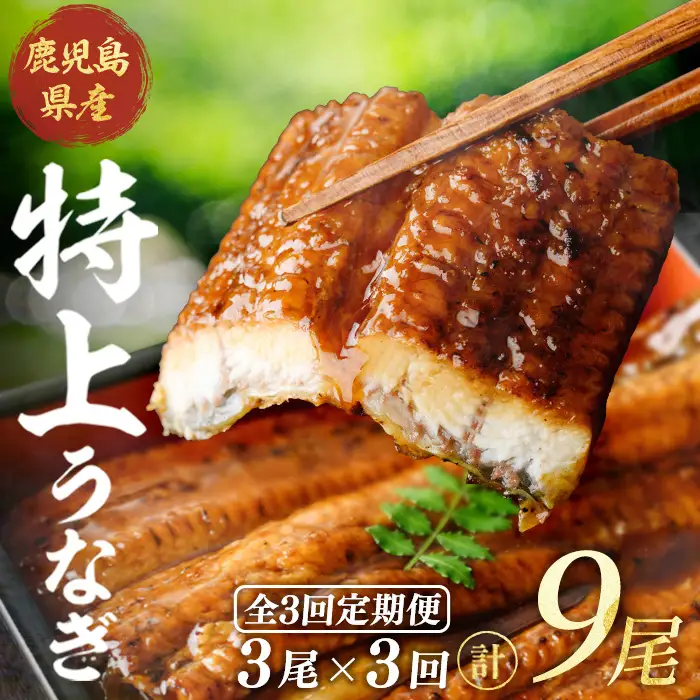 ＜隔月定期便・全3回＞鹿児島県産うなぎ蒲焼 (約186g×3尾×3回) 鰻 ウナギ うなぎ【薩摩川内鰻】 T91