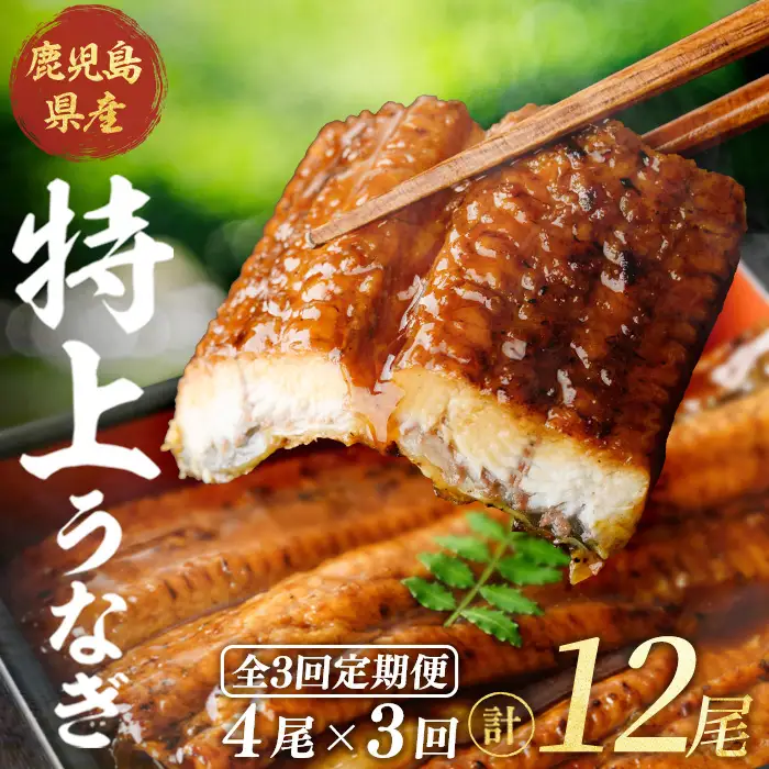 ＜隔月定期便・全3回＞鹿児島県産うなぎ蒲焼 (約186g×4尾×3回) 鰻 ウナギ うなぎ【薩摩川内鰻】 T92
