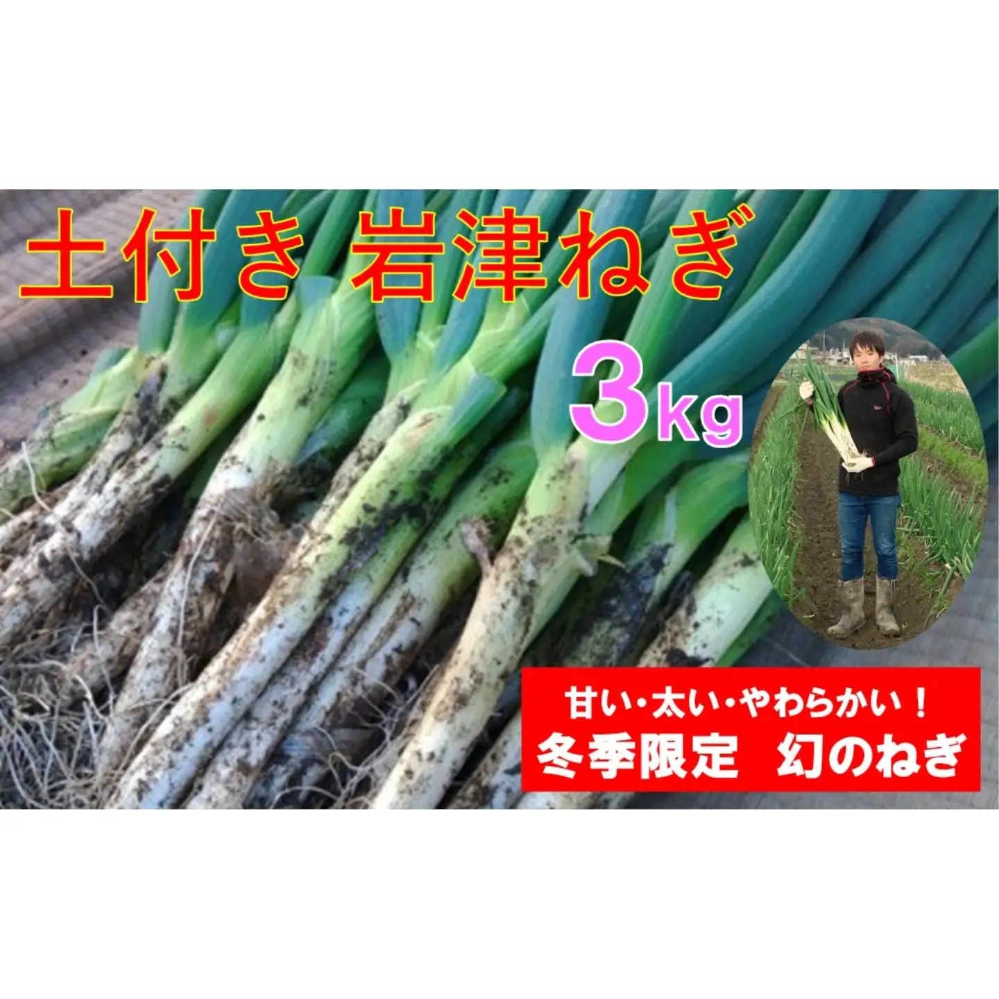 【先行予約】土付き岩津ねぎ 3kg 箱入り  【田中農園】AS2BC23