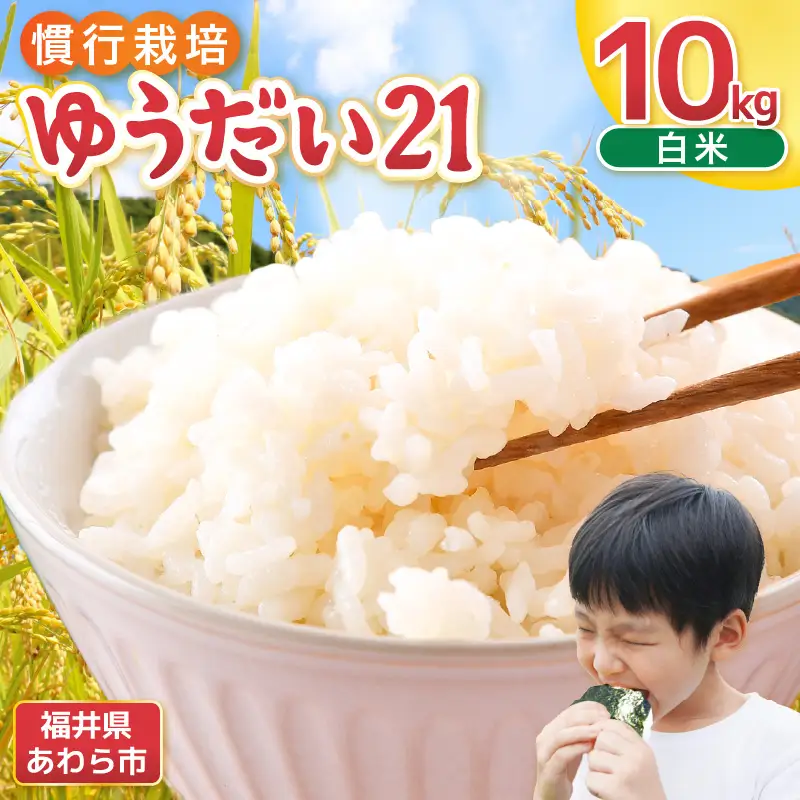 【先行予約】【令和8年産】慣行栽培 ゆうだい21 白米 10kg / 米 福井県 精米 あわら市産 ※2026年10月下旬より順次発送予定 [aw038-b001]