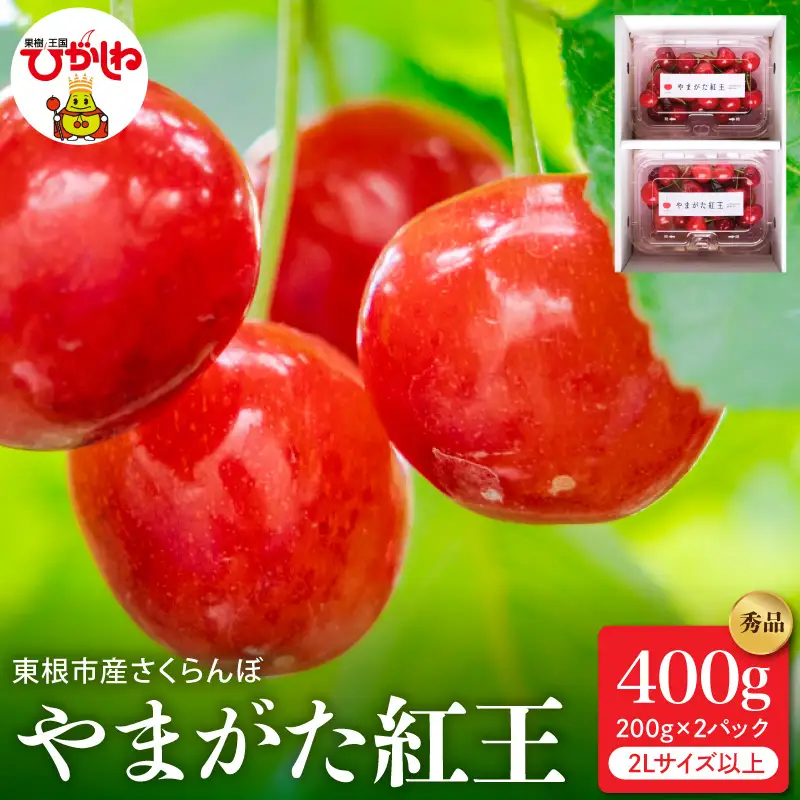 2027年産 さくらんぼ やまがた紅王 秀品 400g バラ さくらんぼ