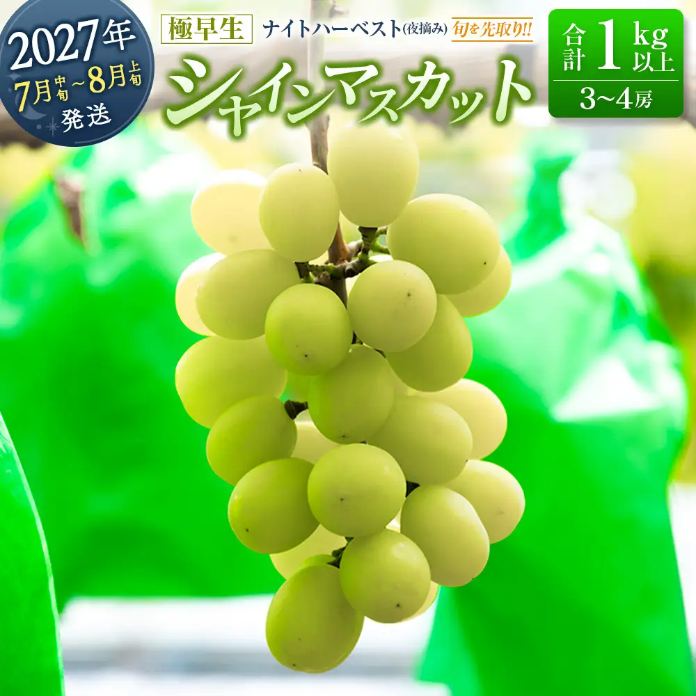 シャインマスカット 【早生7月～8月上旬発送】 計1kg以上 C477 | ぶどう ぶどう 種なし