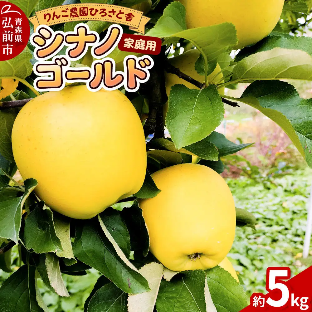 【26年11月中旬～発送】りんご シナノゴールド 家庭用 約5kg 先行受付