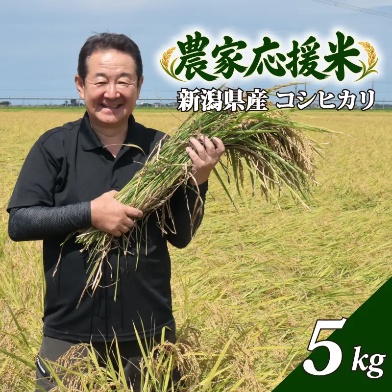 新米 5kg お米 コシヒカリ スピード発送 新潟県産 新潟 こしひかり 農家応援米 米 白米 おこめ こめ ふっくら 新発田市 斗伸有限会社 toushin079