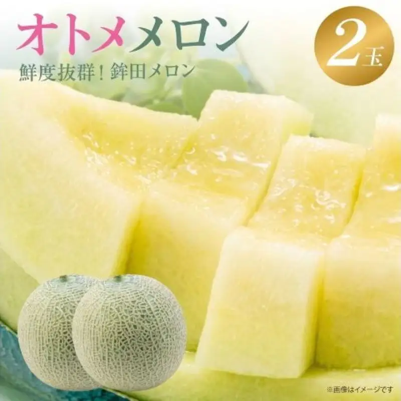 オトメメロン 緑肉 2玉 計3kg～5kg メロン めろん 