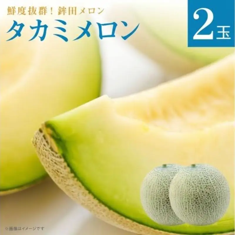  タカミメロン 緑肉 2玉 計3kg～5kg メロン めろん 