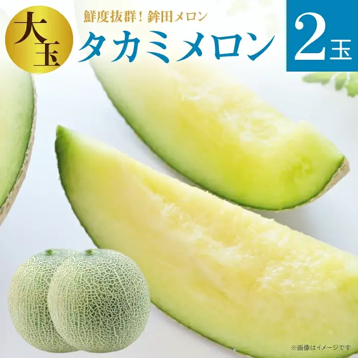 【極選大玉】 タカミメロン 緑肉 2玉 計5kg以上 メロン めろん 