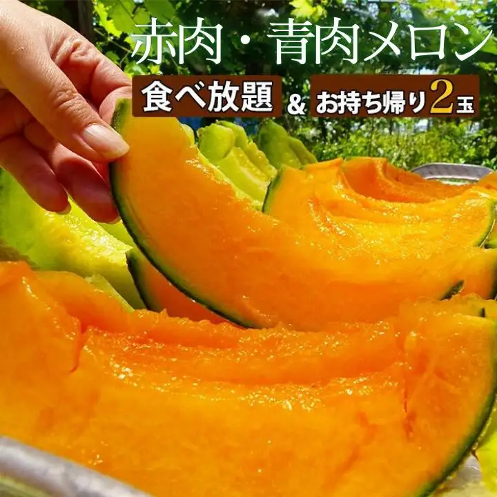 タカミメロン 食べ放題 （30分） ＆ お持ち帰り メロン 2玉 2名様分 メロン狩り 入場券 チケット ペアチケット イベント