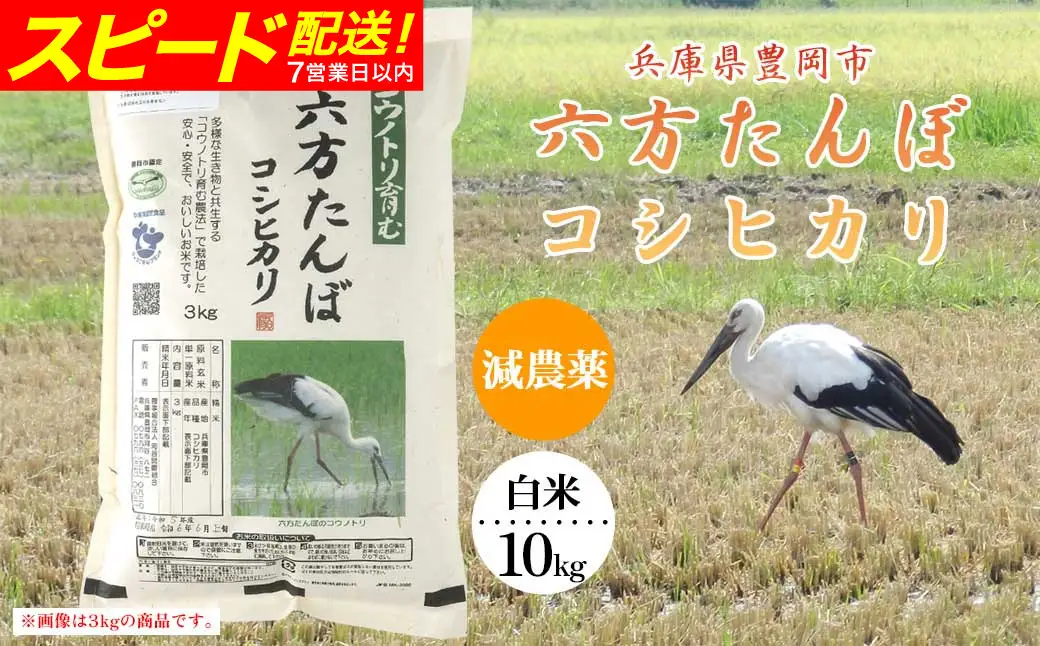 新米 六方たんぼ コシヒカリ 減農薬（白米：10kg）令和8年産 / 米 お米 精米 コシヒカリ コウノトリ育む農法