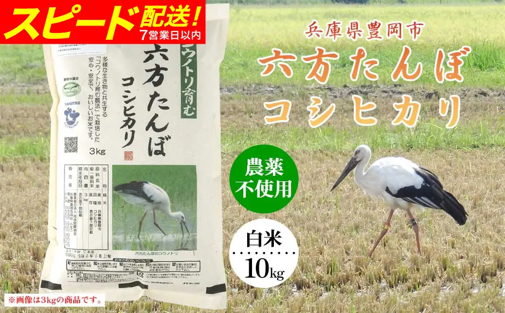 新米 六方たんぼ コシヒカリ 農薬不使用（白米：10kg）令和8年産 / 米 お米 精米 コシヒカリ コウノトリ育む農法