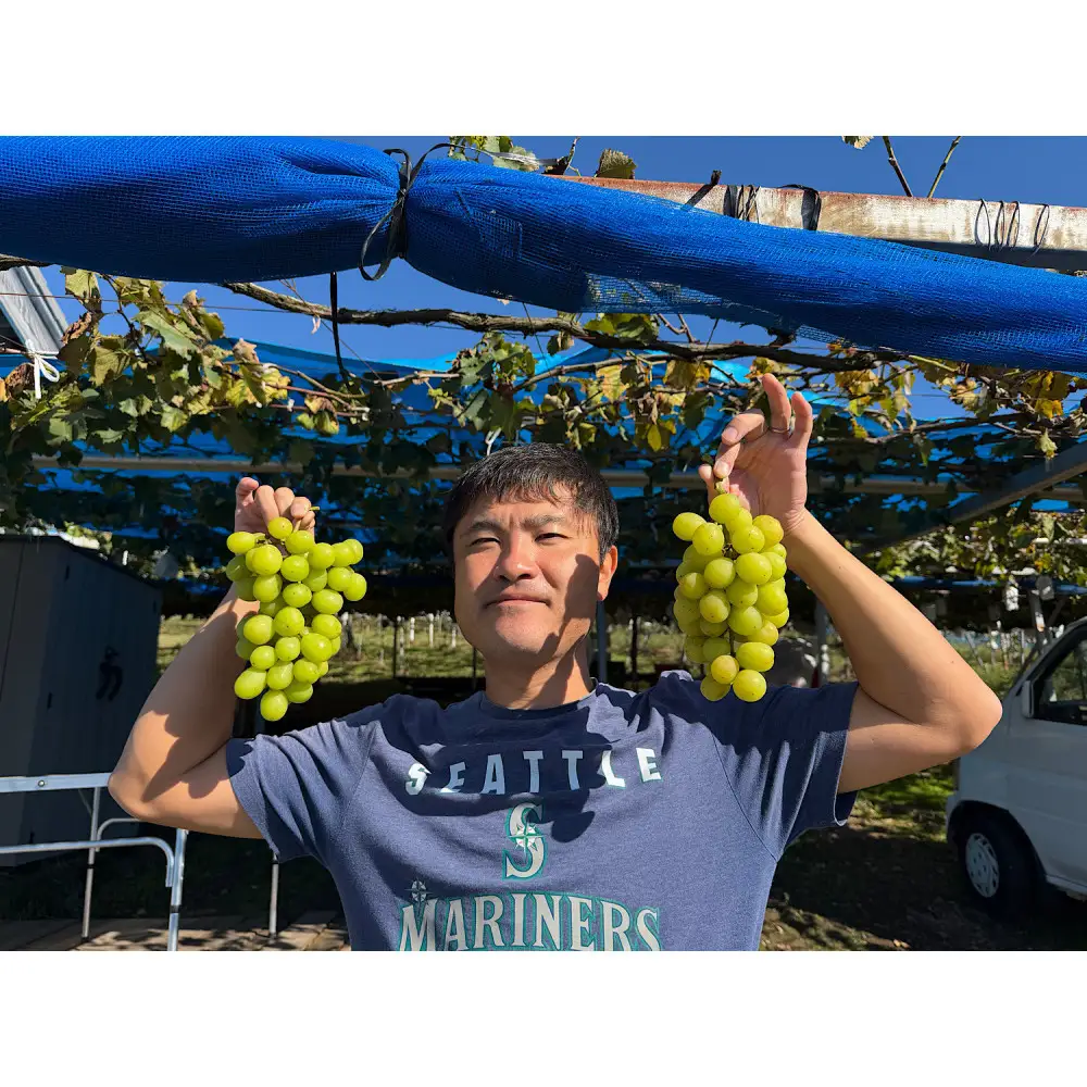 有田巨峰村三木と園のあま～い露地栽培種ありシャインマスカット 約1kg（2房）［2026年10月より順次発送］