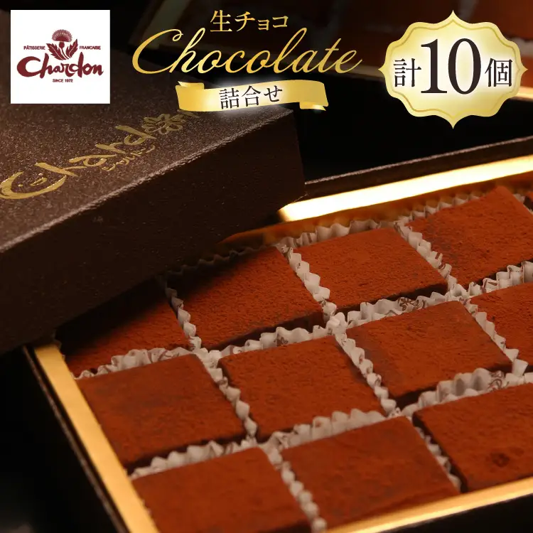 チョコ 生チョコ 10個 セット