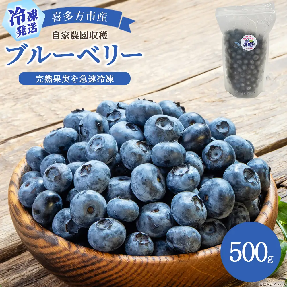 【冷凍】喜多方市産ブルーベリー　500g×1袋　【07208-1042】
