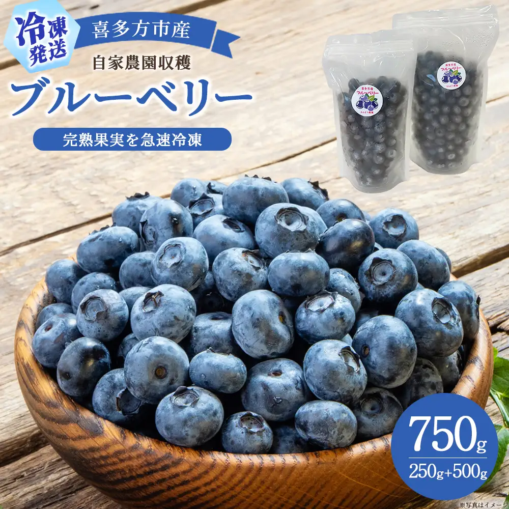 【冷凍】喜多方市産ブルーベリー　750g(500g・250g各1袋)　【07208-1043】