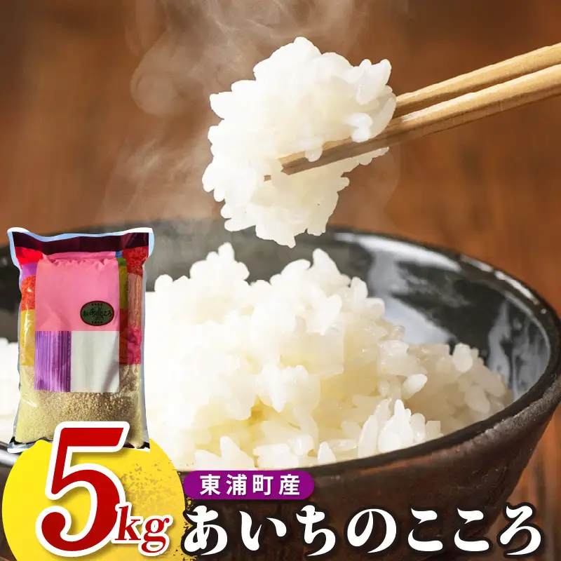 【令和8年度産】東浦町産 あいちのこころ 5kg｜米