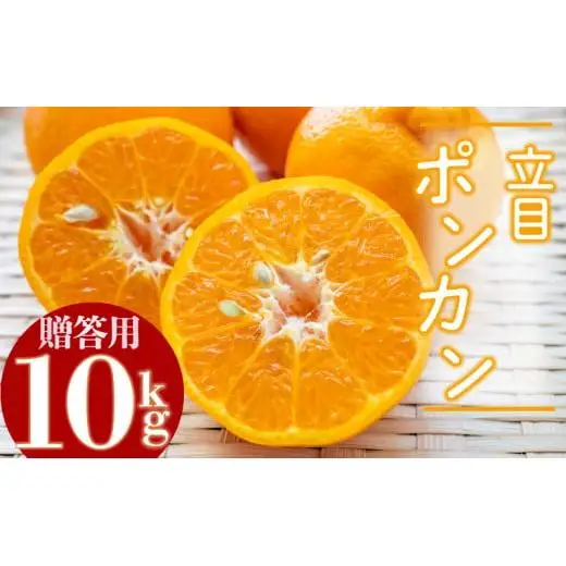 立目 ぽんかん みかん 柑橘 特上品 10kg