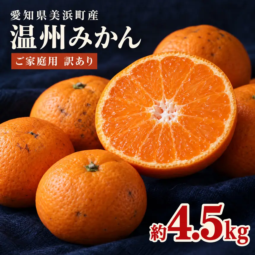 愛知県美浜町産 温州みかん 約4.5kg ご家庭用 訳あり