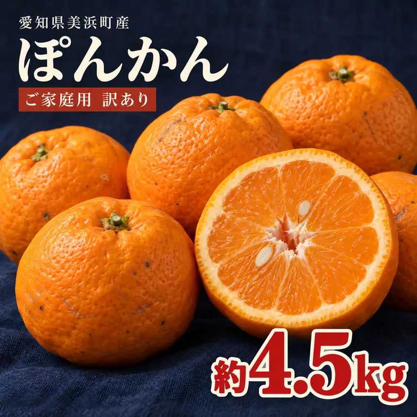 愛知県美浜町産 ぽんかん 約4.5kg ご家庭用 訳あり